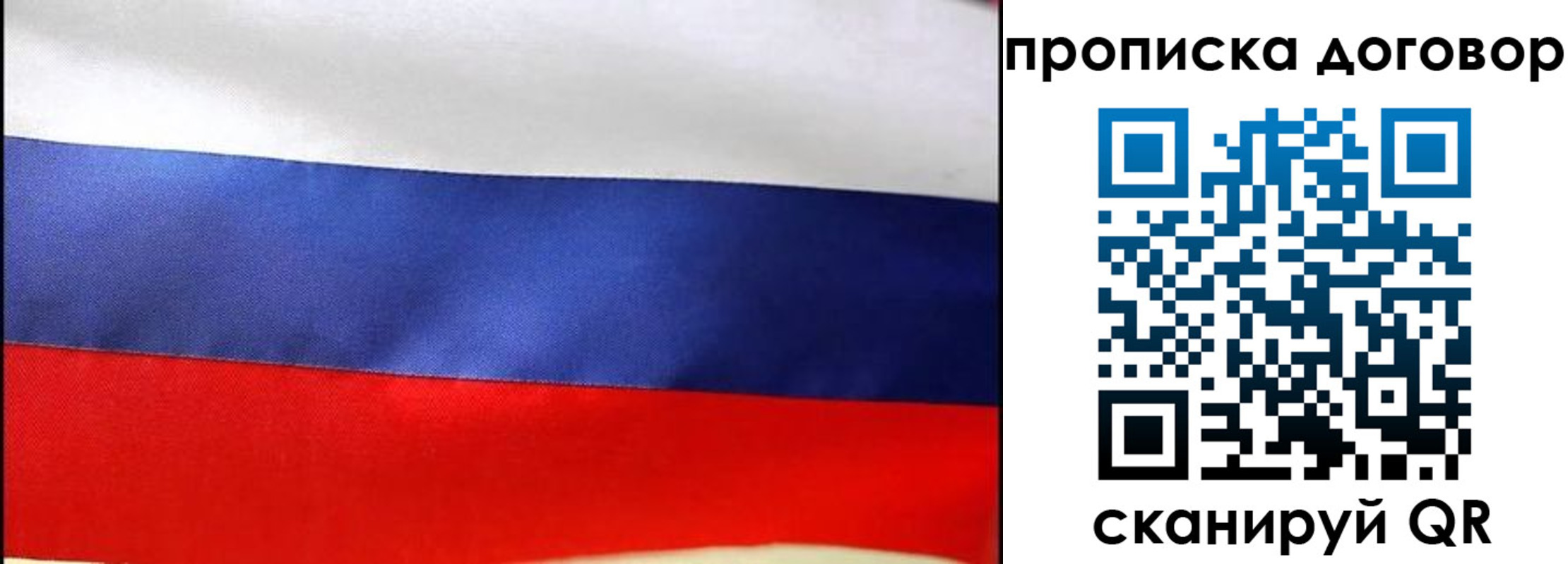 прописка гарантия в Лодейном Поле